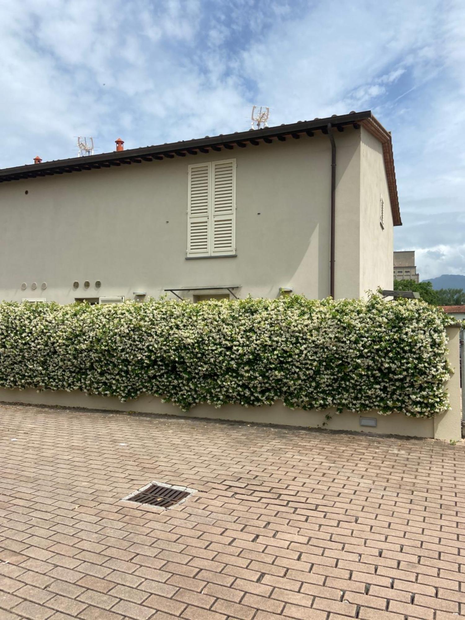 Casa Ariel